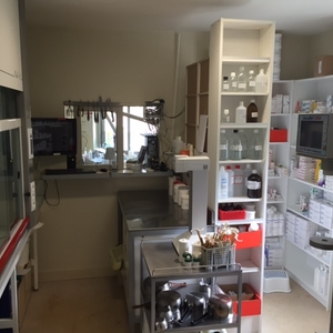 Laboratoire 4